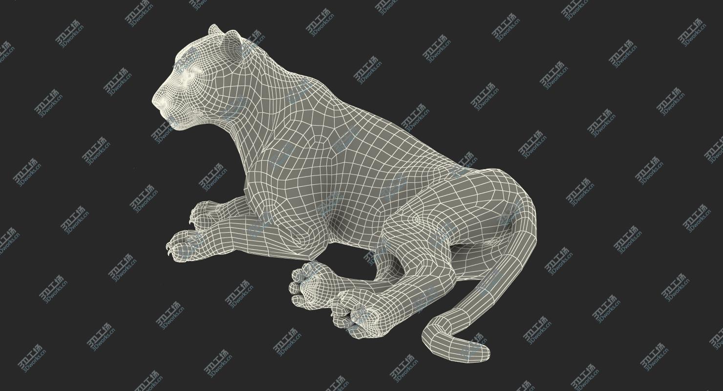 images/goods_img/202104021/3D model Lying Tiger/4.jpg